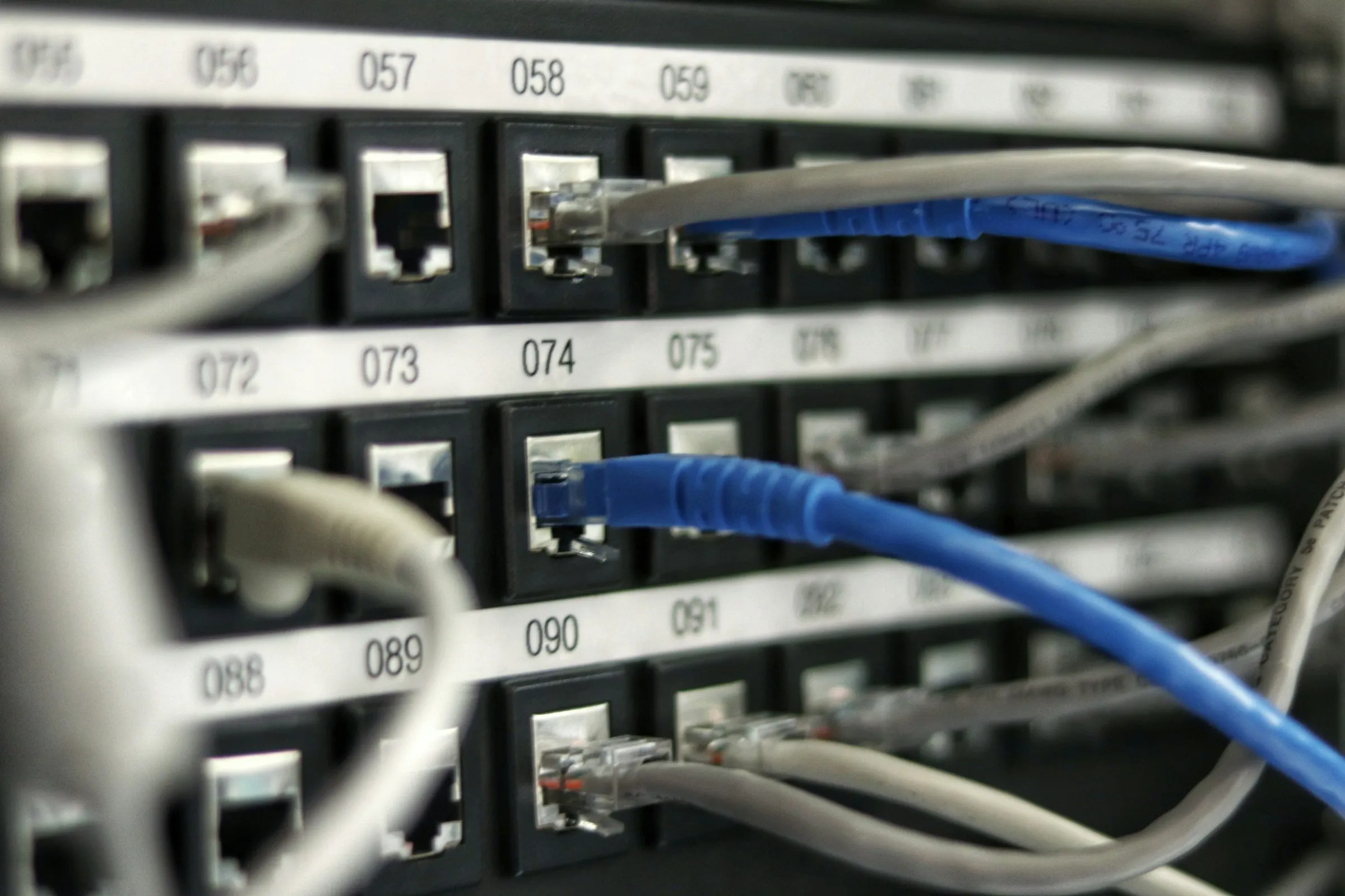 Close-up of a network patch panel with numbered ports and blue and gray Ethernet cables plugged in
